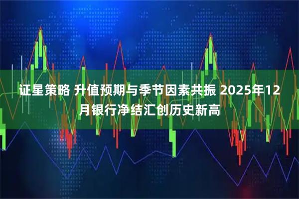 证星策略 升值预期与季节因素共振 2025年12月银行净结汇创历史新高